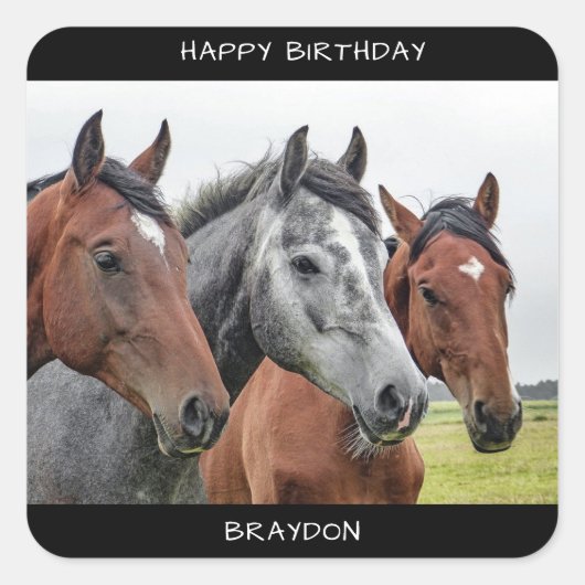 Mooie paard Birthday Vierkante Sticker (Voorkant)