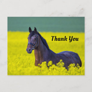Mooie Paard Gele Bloemen Foto Bedankt Briefkaart