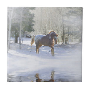 Mooie paard in de zon kunsttegel tegeltje