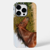 Mooie paard iPhone/iPad-draagtas Case-Mate iPhone Case (Achterkant)