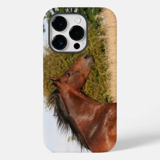 Mooie paard iPhone/iPad-draagtas Case-Mate iPhone Case (Achterkant)