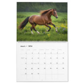 Mooie paarden 2025 Muurkalender Kalender (Mar 2026)