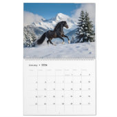 Mooie paarden 2025 Muurkalender Kalender (Jan 2026)