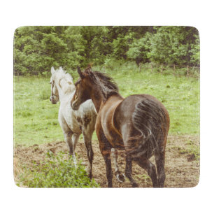 Mooie paarden aan het rennen snijplank