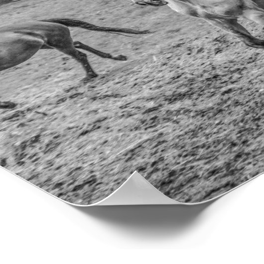 Mooie paarden B&W Poster (Hoek)