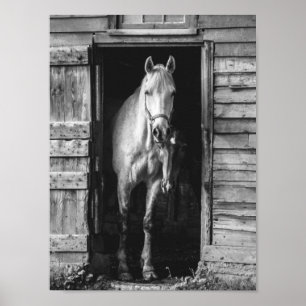 Mooie paarden B&W Rustic Farmhouse Poster