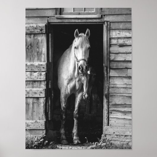 Mooie paarden Black en White Rustic Farmhouse Poster (Voorkant)