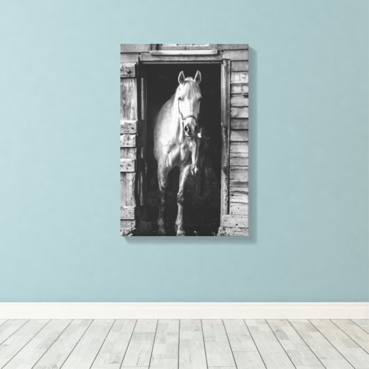 Mooie Paarden Boerderijdieren B&W Canvas Afdruk (Insitu (Houten vloer))