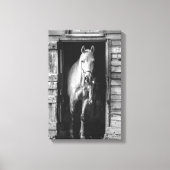 Mooie Paarden Boerderijdieren B&W Canvas Afdruk (Voorkant)