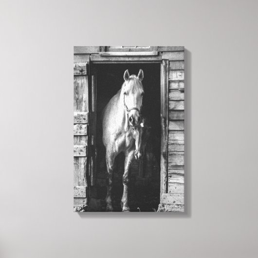 Mooie Paarden Boerderijdieren B&W Canvas Afdruk (Voorkant)