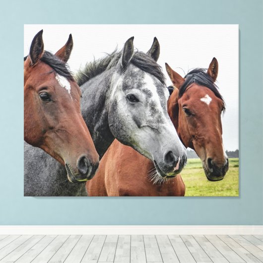 Mooie paarden canvas afdruk (Insitu (Houten vloer))