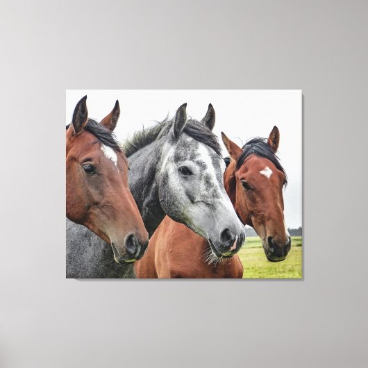 Mooie paarden canvas afdruk (Voorkant)