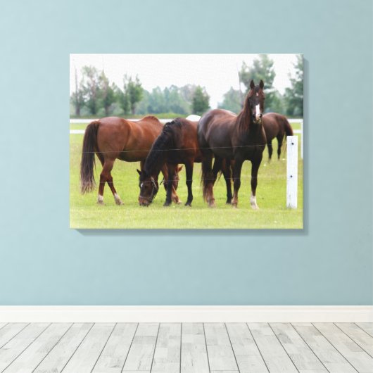 Mooie paarden/canvasomloop canvas afdruk (Insitu (Houten vloer))
