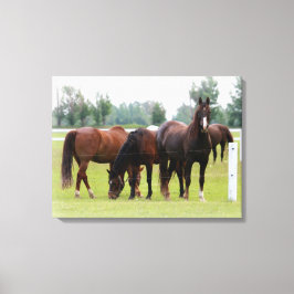 Mooie paarden/canvasomloop canvas afdruk