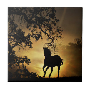 Mooie paarden die in de Sunset Art Tile lopen Tegeltje