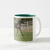 Mooie paarden die in een veld lopen tweekleurige koffiemok (Voorkant rechts)