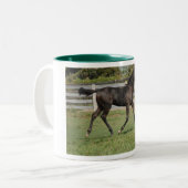 Mooie paarden die in een veld lopen tweekleurige koffiemok (Voorkant links)
