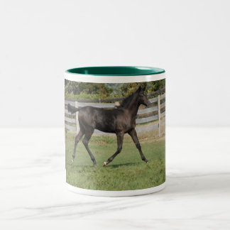 Mooie paarden die in een veld lopen tweekleurige koffiemok