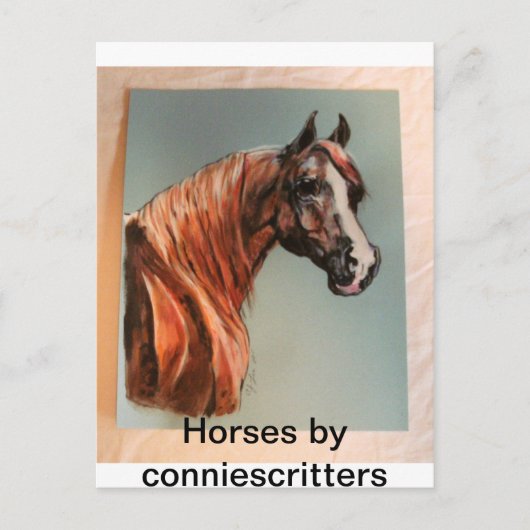 Mooie paarden door conniescritters briefkaart (Voorkant)