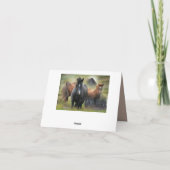 Mooie paarden en bijtende Barn Bedankkaart (Achterkant)