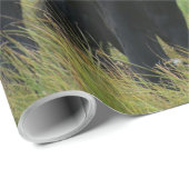 Mooie paarden en bijtende Barn Cadeaupapier (Rol Hoek)