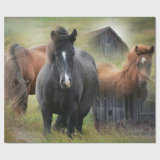 Mooie paarden en bijtende Barn Cadeaupapier (Vlak)