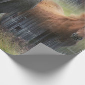 Mooie paarden en bijtende Barn Cadeaupapier (Hoek)