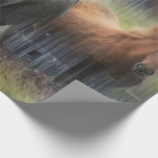 Mooie paarden en bijtende Barn Cadeaupapier (Hoek)