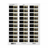 Mooie paarden en bijtende Barn Etiket (Full Sheet)