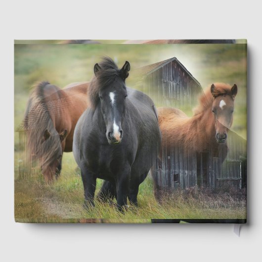 Mooie paarden en bijtende Barn Gastenboek (Achterkant)