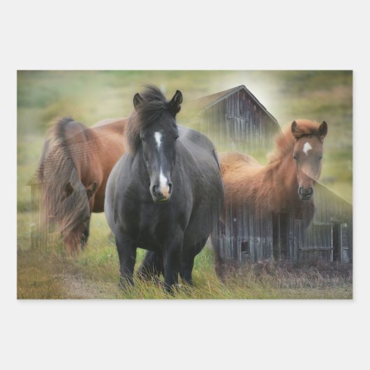 Mooie paarden en bijtende Barn Inpakpapier Vel (Voorkant 3)