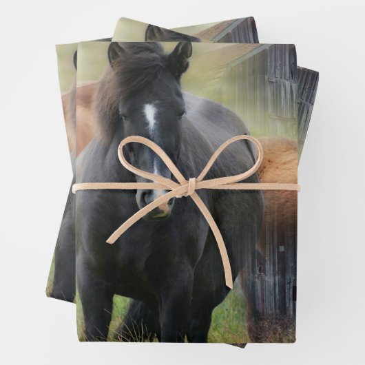 Mooie paarden en bijtende Barn Inpakpapier Vel (In situ)