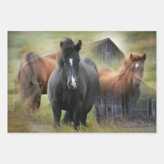 Mooie paarden en bijtende Barn Inpakpapier Vel (Voorkant)