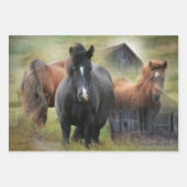Mooie paarden en bijtende Barn Inpakpapier Vel (Voorkant)