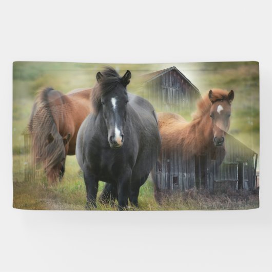Mooie paarden en bijtende Barn Spandoek (Horizontaal)