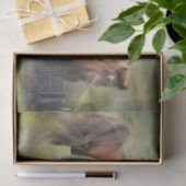 Mooie paarden en bijtende Barn Tissuepapier (Geschenk)