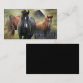 Mooie paarden en bijtende Barn Visitekaartje (Voorkant / Achterkant)