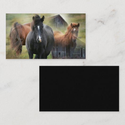Mooie paarden en bijtende Barn Visitekaartje (Voorkant / Achterkant)