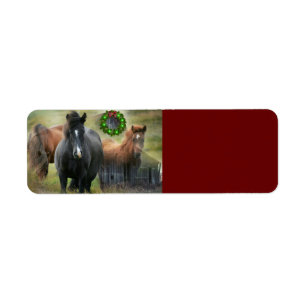 Mooie paarden en bijtende kerstmis etiket