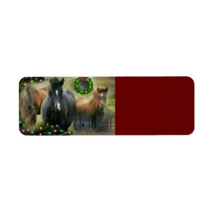 Mooie paarden en bijtende kerstmis etiket