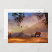 Mooie paarden- en eekbomen met Briefkaart van wolk (Voorkant / Achterkant)