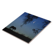 Mooie paarden en maan tegeltje (Zijkant)