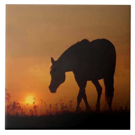 Mooie paarden en Southwestern Sunset Tegeltje (Voorkant)