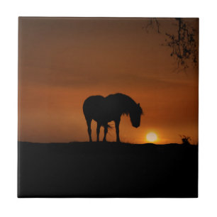 Mooie paarden en Southwestern Sunset Tegeltje