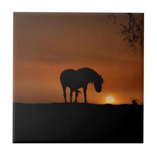 Mooie paarden en Southwestern Sunset Tegeltje (Voorkant)