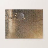 Mooie paarden en zonlicht legpuzzel (Horizontaal)