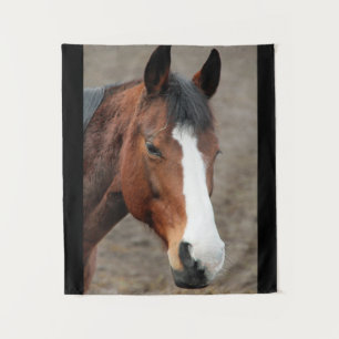 Mooie Paarden Gezicht Wandkleed