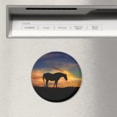 Mooie paarden in de zonnekunst magneet (Insitu (Vaatwasser))