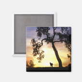 Mooie paarden in de zonnemagneet magneet (Voorkant / Achterkant)