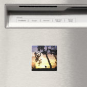 Mooie paarden in de zonnemagneet magneet (Insitu (Vaatwasser))